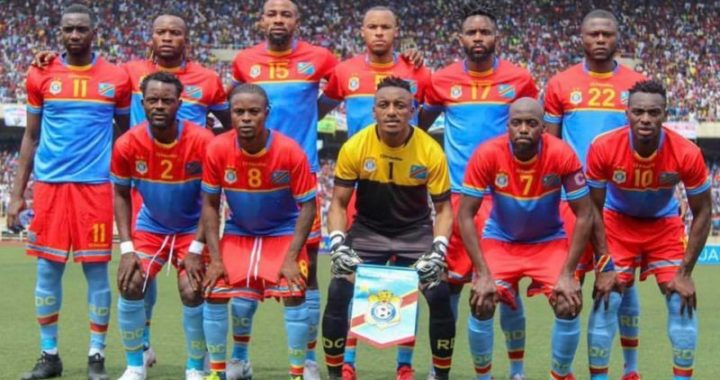 Trois Léopards encore  à Kinshasa !