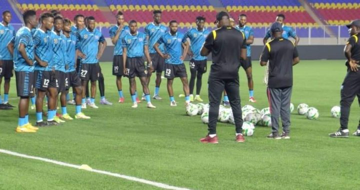 Le match amical entre les Léopards et les Diables rouges annulé    